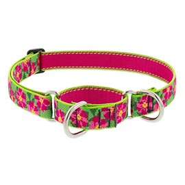 Lupine Martingale Dog Collar 1" Wide Petunias Adjusts from 19" to 27"
