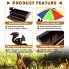 Squirrel Feeder with Umbrella, Metal Squirrel Feeders for Outside with