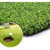 LITA Golf Putting Green, Golf Hitting Mat- 1FT x 61FT,Golf