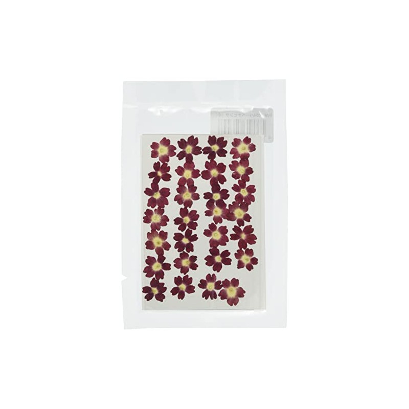 Fukusan Pressed Flower Pack, Verbena, Pink, Small FUK-1024