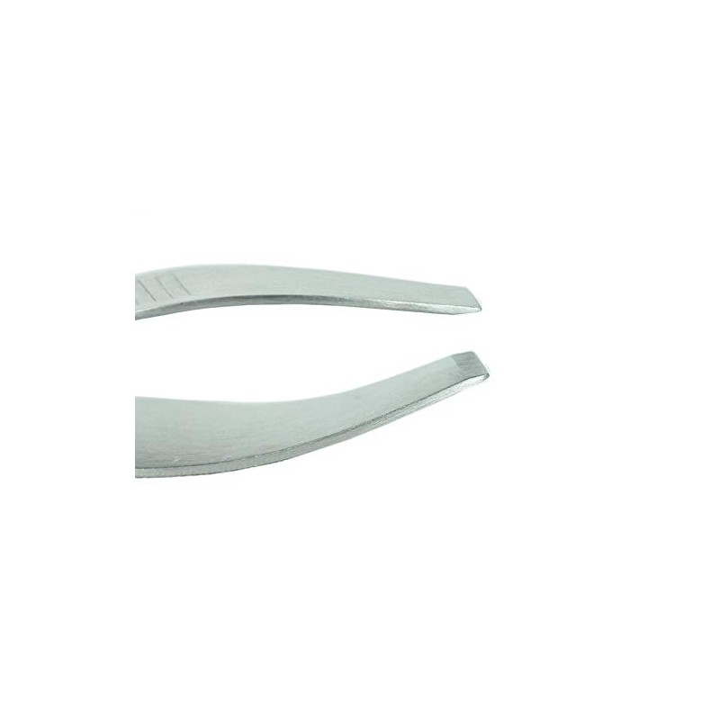 Gravidus Set of 2 Stainless Steel Fish Bone Tongs