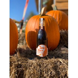 Tree Juice Pumpkin Spice Maple Syrup | All Natural, Non GMO, Vegan, Gluten Free, Vegetarian, Paleo | 12 Ounce Bottle