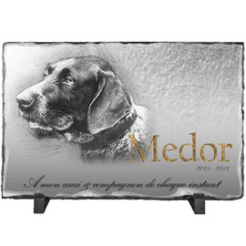 [Customisable: Photo and Text] Grave Plaque for Your Dog 30/20 cm