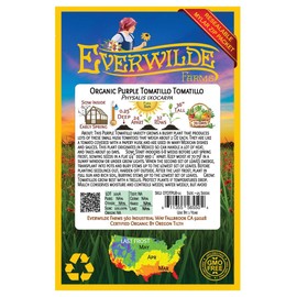 Everwilde Farms - 25 Organic Purple Tomatillo Tomatillo Seeds - Gold Vault Packet