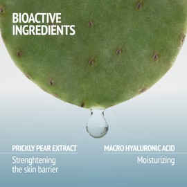 Comfort Zone Hydramemory Rich Sorbet Cream Refill 50 ml - Cream Rich Texture Sorbet