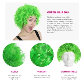 Green Afro Wig - Fancy Dress Accessory - Funky Large Curly Hair 70's Disco Clown - Perfect for Fancy Dress Events - Pack of 1