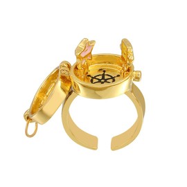 BFF Gold Spinner Anime Matching Rings Anime Aesthetic Opening Adjustable Ring for Teens Couple Women BFF Jewelry Gifts, Alloy,Gold, No Gemstone