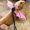 3 Size Pack Bearded Dragon Leash and Harness Set, Bearded