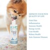 Double Helix Water for Pets, Joint Supplement for Dogs, Cats