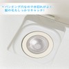 IRETION Unit Bath Garbage Trap, Hair Catcher, Punched Holes, Stainless