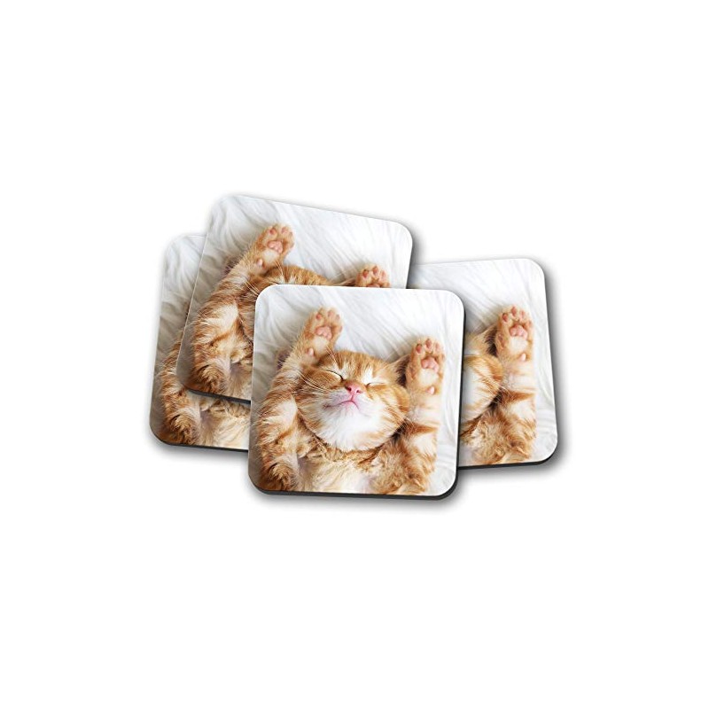 4 Set - Cute Kitten Coaster - Ginger Cat Pet