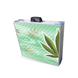 PartyPong 8-Foot Folding Beer Pong Table w/Cup Holes & LED Lights - High Times Edition