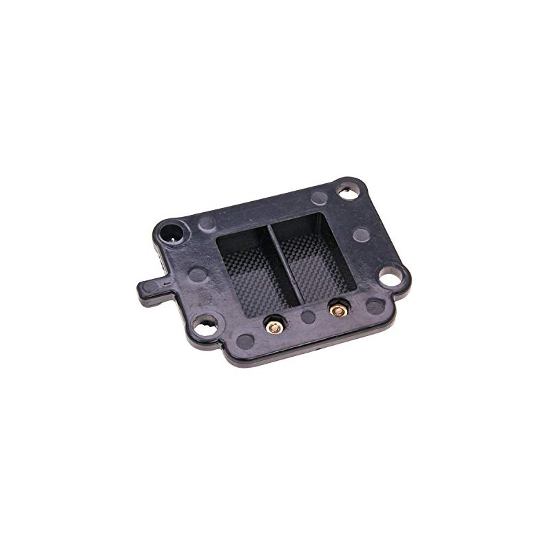 Top Performances reed valve assy racing for Minarelli vertical