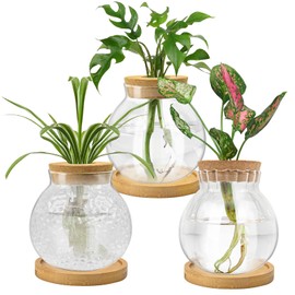 Handbanary Plant Propagation Station, Water Planting for Plants with Tray & Wooden Saucer, Hydroponics Plants Jars Home Office Desktop Decor, Glass Planters for Indoor Plants