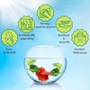 SunGrow Betta Fish Leaf Hammock, Twin Leaf Design with Suction