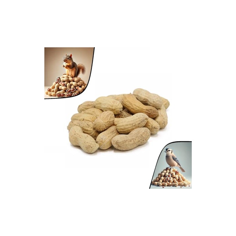 C.J. Dannemiller Raw Jumbo Peanuts in the Shell, 10 LB