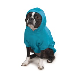 Zack & Zoey Basic Hoodie for Dogs