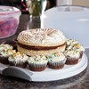 Sterilite White Food Storage Container with Handle and Locking Cover