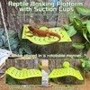 Gxsdj 2PCS Bearded Dragon Hammock,Turtle Basking Platform with Suction Cups,Lizard