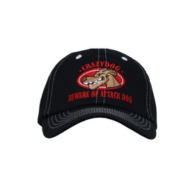 WITHMOONS Cotton Adjustable Embroidery Baseball Cap Dad Hats TR11537 (Twoblack)