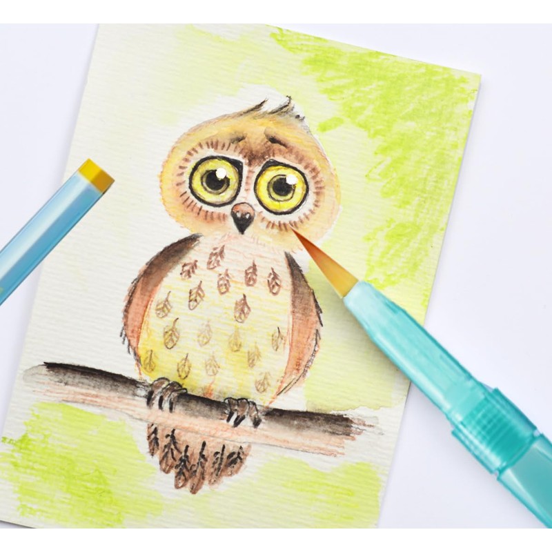 Pentel Aquash Watercolour Oil Pastels Assorted Colours + Brush -