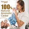 Cedar Blocks for Clothes Storage 50 Pack - 100% Natural