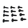 12 ea Correct Roll Bar Torx Bolt Set/Fits Jeep Wrangler
