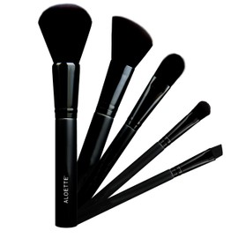 Aloette Professional 5-Piece Brush Collection, Powder Brush, Blush Brush, Foundation Brush, Eyeshadow Brush, Cruelty Free Synthetic Makeup Brushes
