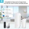 Smart WiFi Door Window Open/Closed Sensor Detectors Voice Control for