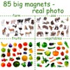 magdum Fridge Magnets For Toddlers 85 SET ZOO+ FARM+ FRUIT+