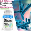 60 Billones de Probioticos Inulina de Agave - Probioticos y