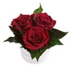 ROSEMARIE SCHULZ Heidelberg Infinity Rose Box White Round Preserved Flowers