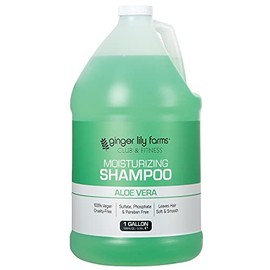 Ginger Lily Farms Club & Fitness Champú hidratante para todo tipo de cabello, 100% vegano y libre de crueldad, aroma a aloe vera, repuesto de 1 galón 