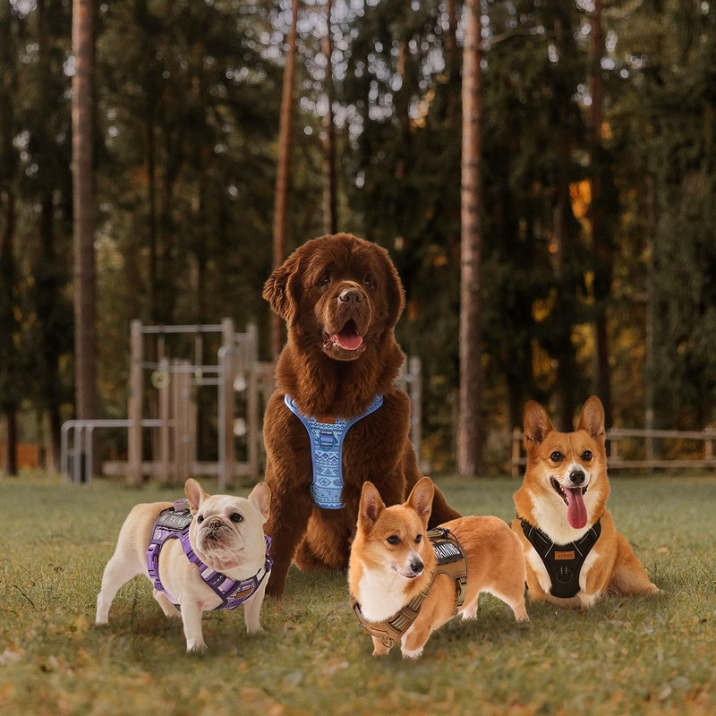 Tactical Dog Harness Medium Sized Dog, No Pull Pet Harness,