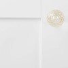 Hickory Hardware P35-CA3 35Mm Crystal Palace Crysacrylic Polished Brass Cabinet