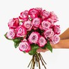 BloomsyBox Count Your Blushes - 18 Magenta Roses, Long Lasting