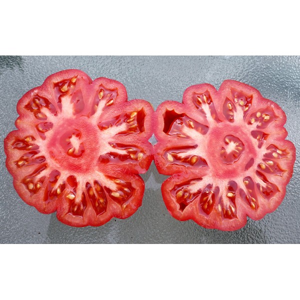 30+ Costoluto Genovese Pomodoro Tomato Seeds, Heirloom Non-GMO, Low Acid,