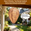 Fake Wasp Nest 4 Pack, Upgraded Waterproof Wasp Nest Decoy