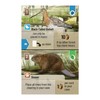 Forest Shuffle Dartmoor Card Game - Build Habitats, Place Trees