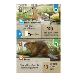 Forest Shuffle Dartmoor Card Game - Build Habitats, Place Trees & Attract Fauna in This Standalone Strategy Game for Kids & Adults, Ages 10+, 2-5 Players, 60 Min Playtime