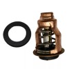 YiheoZux 881429 Mercury Outboard 115 HP EFI 4-Stroke Thermostat 50
