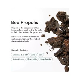 Beekeeper's Naturals Beekeeper’s Natural Propolis Nasal Spray, 1 fl oz (30 ml) X2