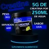 Creatina Monohidratada Alta Pureza Polvo Nit-pro 3kg 600ser