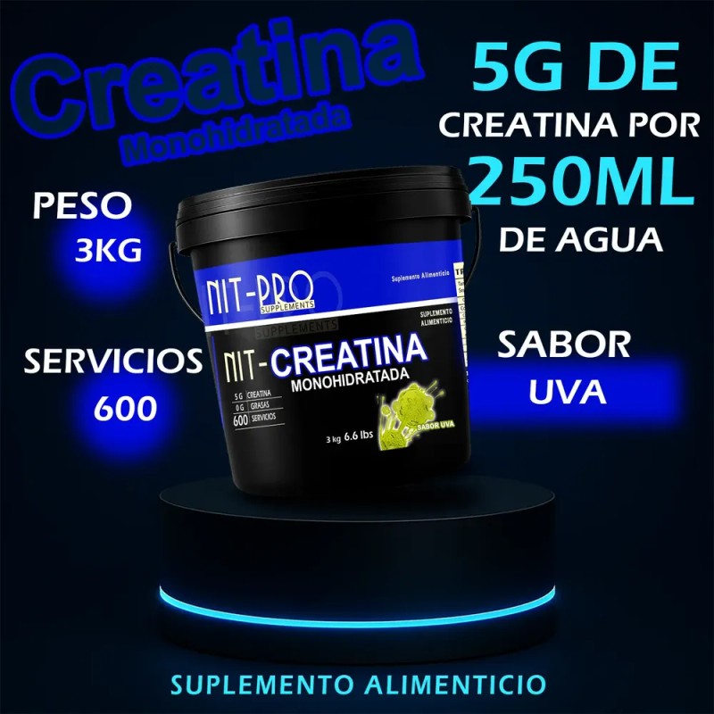Creatina Monohidratada Alta Pureza Polvo Nit-pro 3kg 600ser