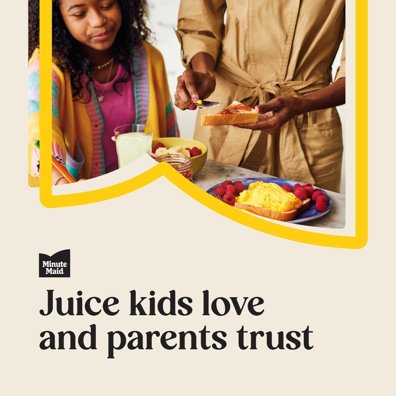 Minute Maid Lemonade PET, 12 fl oz, 6 Pack