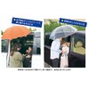 Decole Corporation RF-28281 Round Umbrella Pita, Mount Size: 3.3 x