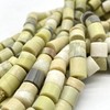 Butterjasper-ls-Tube-Mate