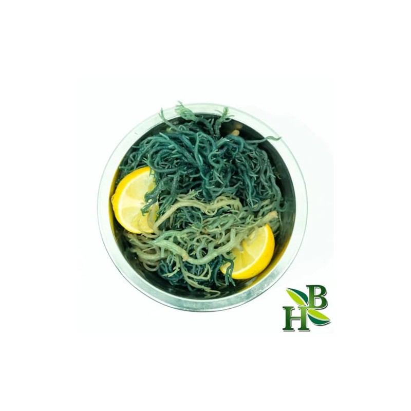 Herb To Body Green Irish Sea Moss | Wildcrafted |