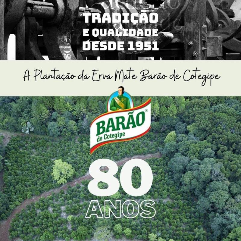 Erva-Mate Tereré Menta e Limão Fresh [Barão de Cotegipe] 500g