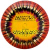 Innova I-Dye Champion Roadrunner Disc Golf Driver - Colors and